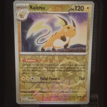 Raichu 19/91