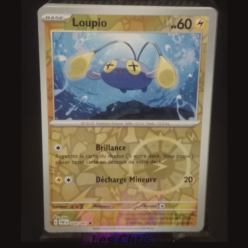 Loupio 20/91