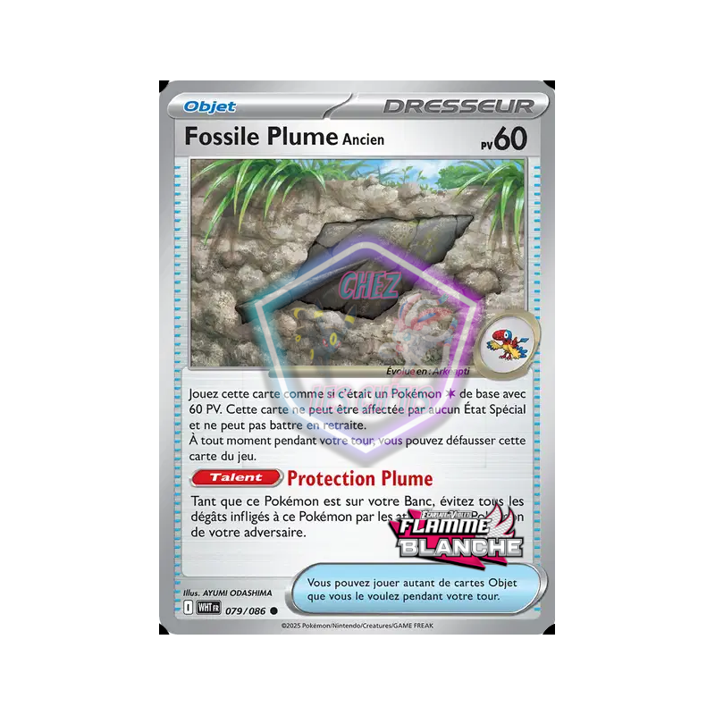Fossile Plume Ancien 79/86