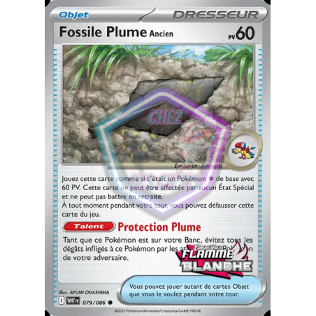 Fossile Plume Ancien 79/86