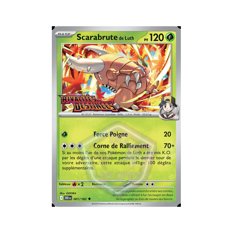 Scarabrute de Luth 1/182