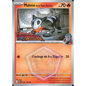 Malosse de la Team Rocket 37/182