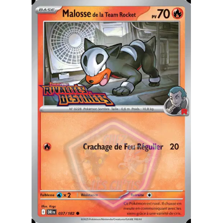 Malosse de la Team Rocket 37/182