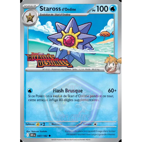 Staross d'Ondine 47/182