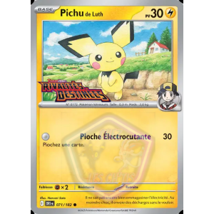 Pichu de Luth 71/182