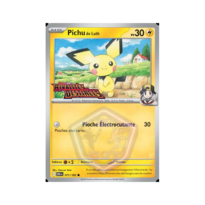 Pichu de Luth 71/182