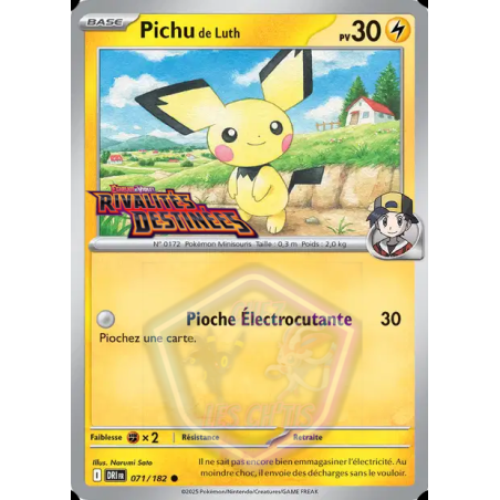Pichu de Luth 71/182