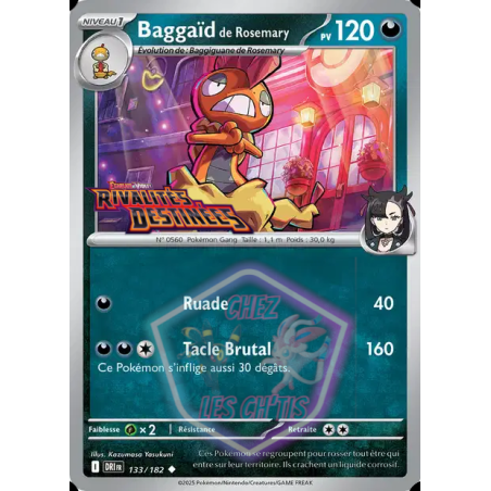 Baggaïd de Rosemary 133/182