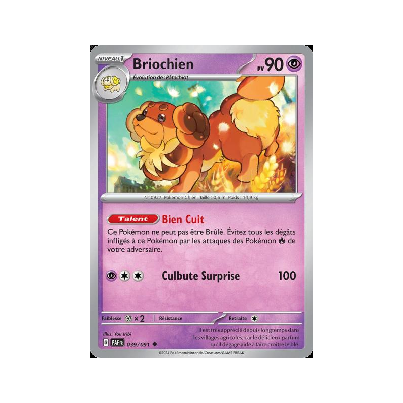 Briochien 39/91