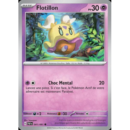 Flotillon 41/91