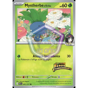 Mystherbe d'Erika 1/217