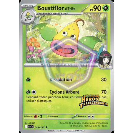 Boustiflor d'Erika 5/217