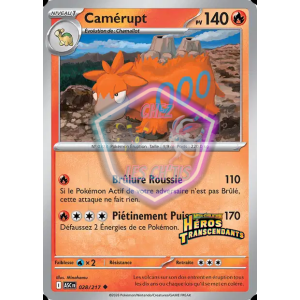 Camérupt 28/217