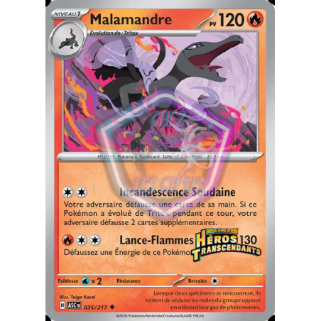 Malamandre 35/217