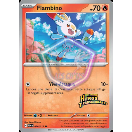 Flambino 36/217
