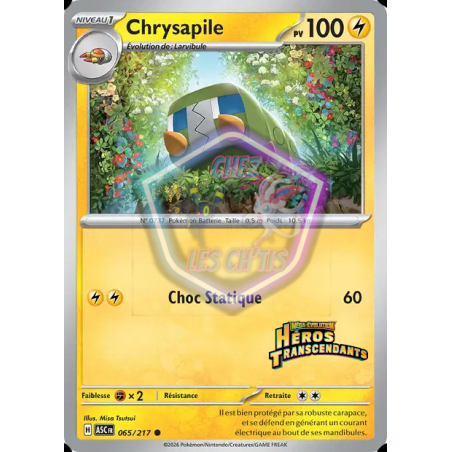 Chrysapile 65/217