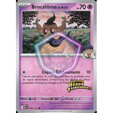 Brocélôme de Nabil 95/217