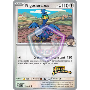 Nigosier de Nabil 177/217