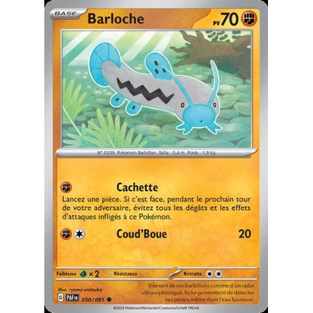 Barloche 50/91