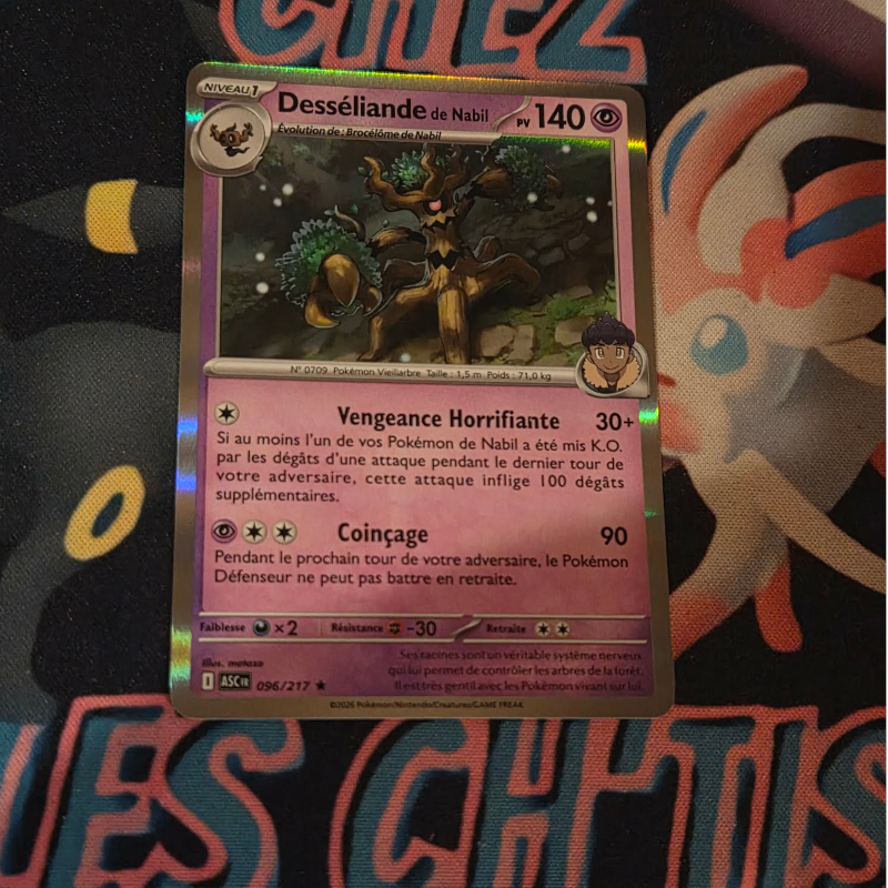 Desséliande de Nabil 96/217