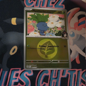 Mystherbe d'Erika 1/217