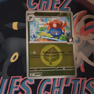 Ortide d'Erika 2/217