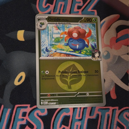 Ortide d'Erika 2/217