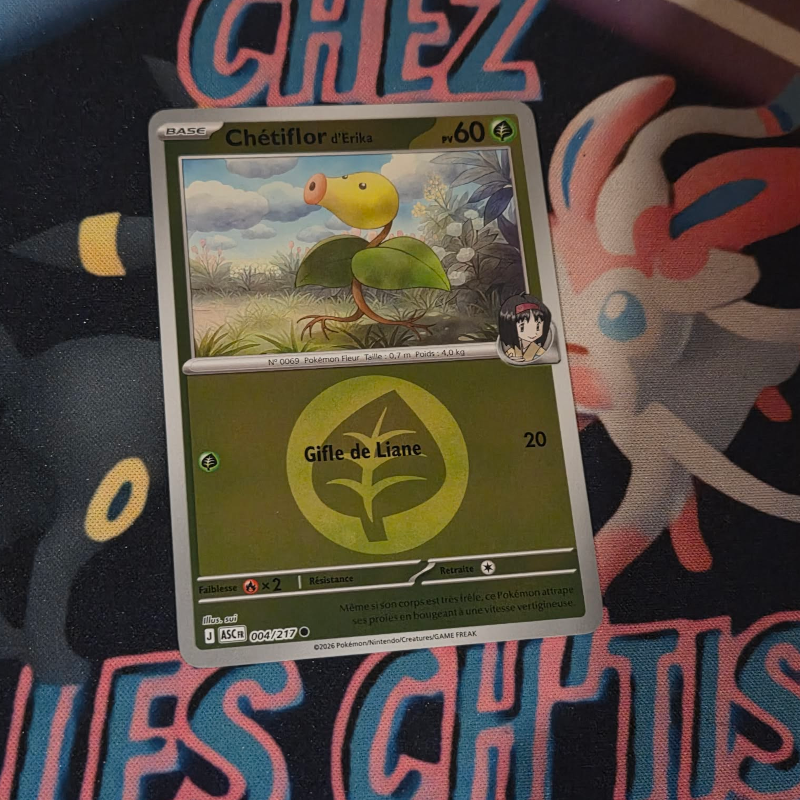 Chétiflor d'Erika 4/217