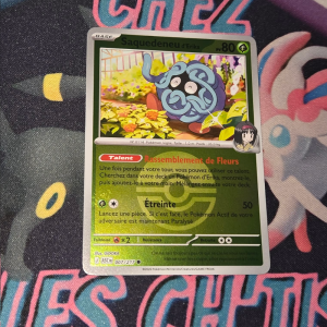 Saquedeneu d'Erika  PokéBall 7/217