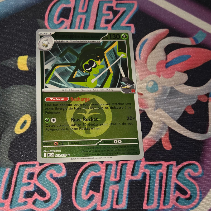 Filentrappe de la Team Rocket 19/217