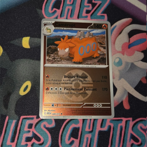 Camérupt Quick ball 28/217