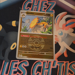 Iguolta Rapid ball 64/217