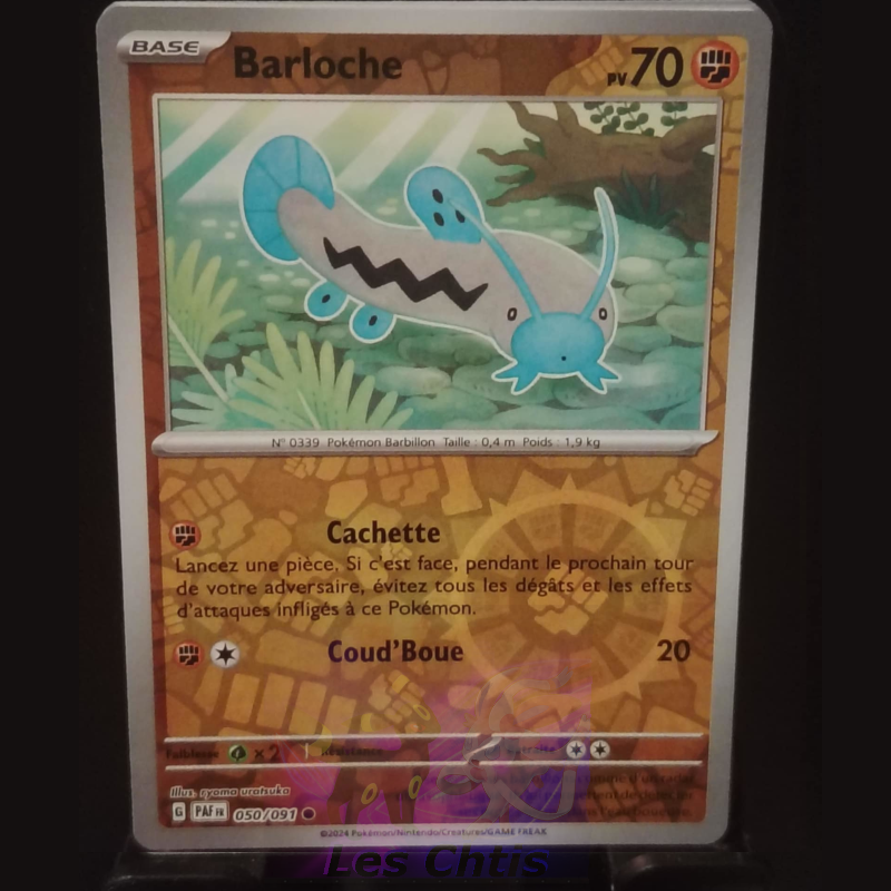 Barloche 50/91