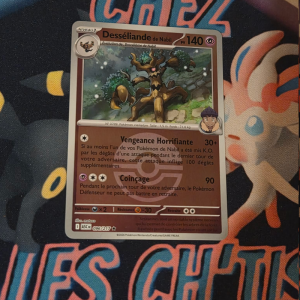 Desséliande de Nabil pokeball 96/217