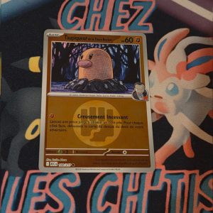 Taupiqueur de la Team Rocket 100/217