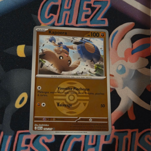 Kapoera sombre ball 102/217