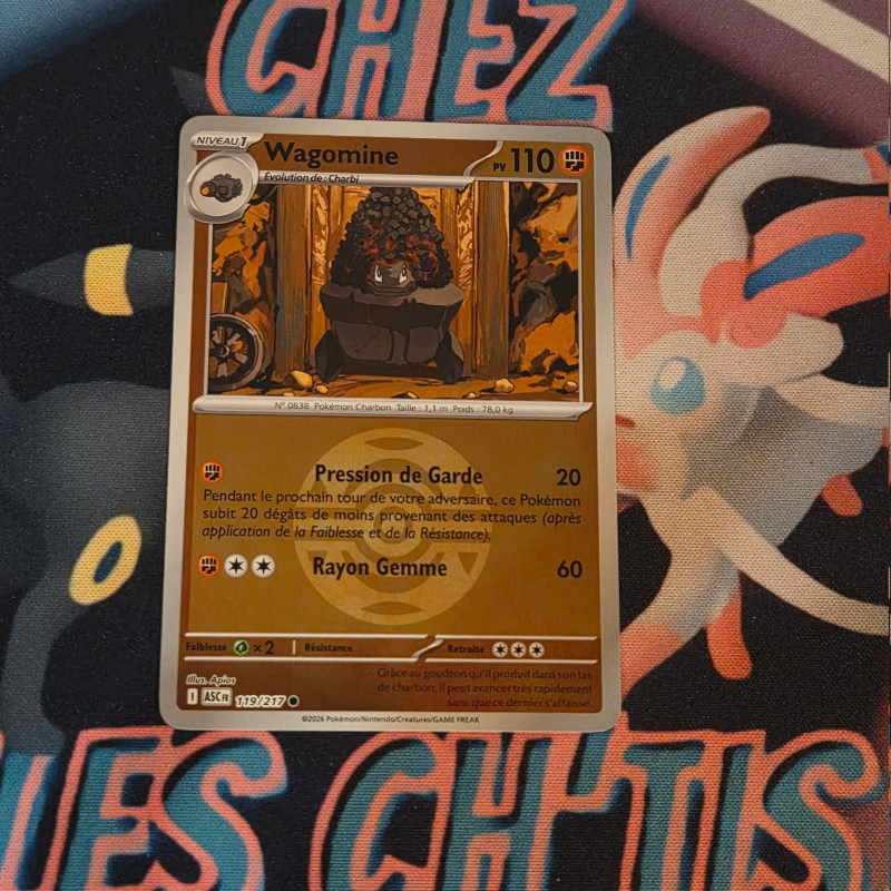 Wagomine sombre ball 119/217