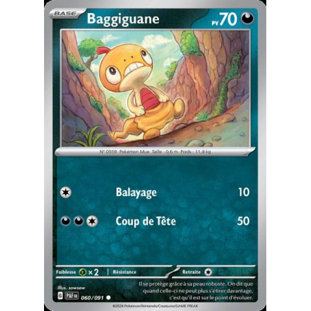 Baggiguane 60/91