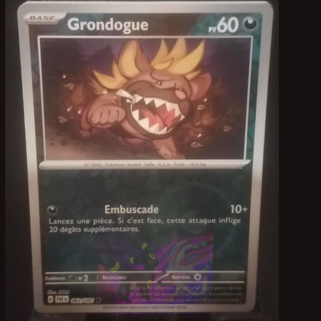 Grondogue 62/91