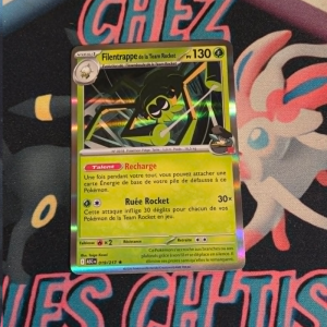 Filentrappe de la Team Rocket 19/217