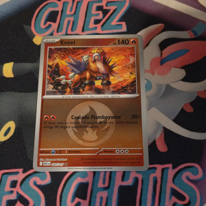 Entei 25/217