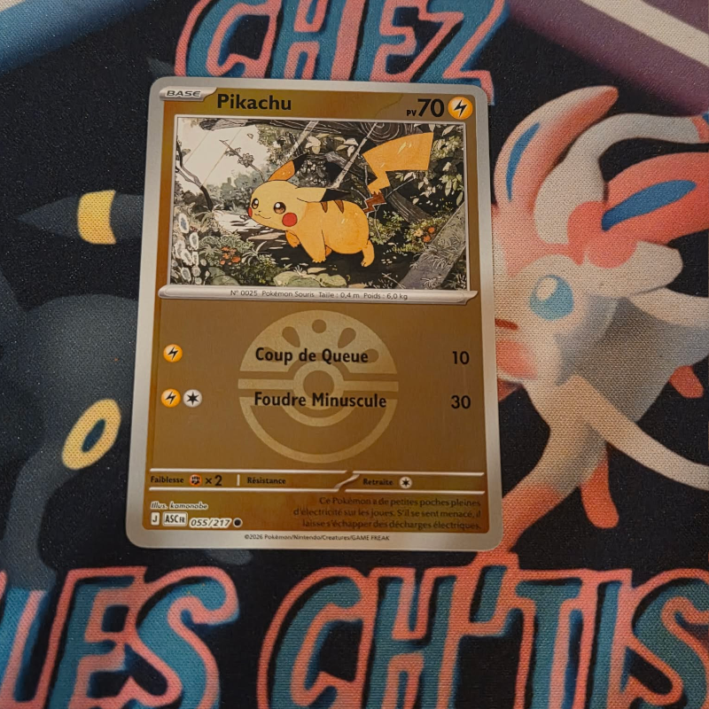 Pikachu copain ball 55/217