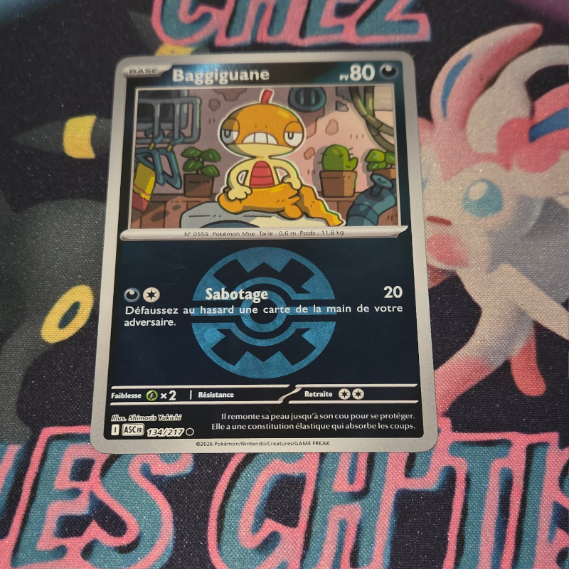 Baggiguane rapide ball 134/217