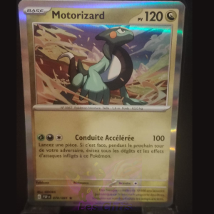 Motorizard 70/91