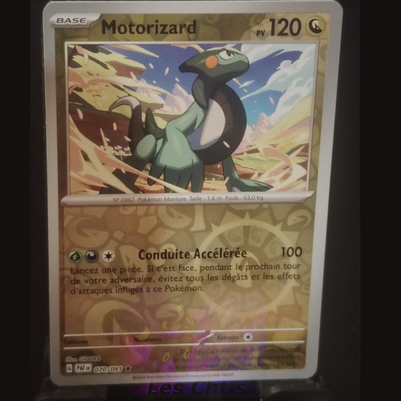 Motorizard 70/91