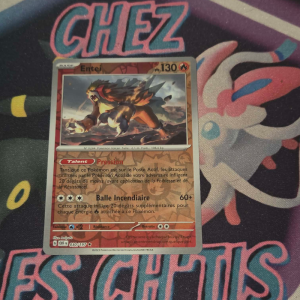 Entei 30/197