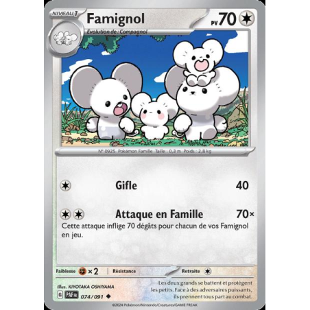 Famignol 74/91