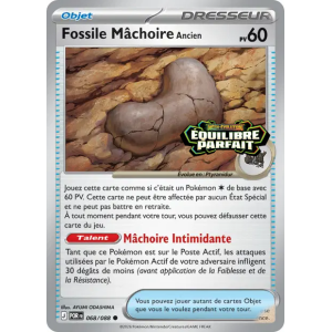Fossile Mâchoire Ancien – 068/088