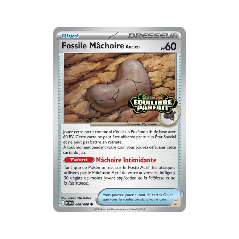 Fossile Mâchoire Ancien – 068/088