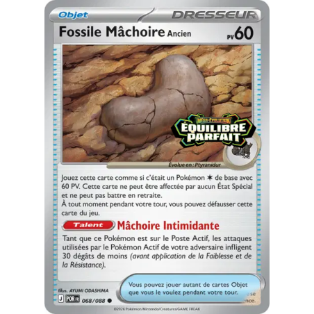 Fossile Mâchoire Ancien – 068/088